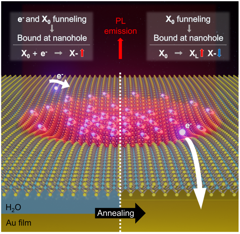 Figure 1. Mechanism for achieving high-efficiency emission of localized excitons through charge neutralization via thermal annealing
