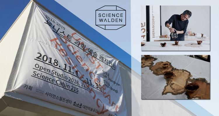 Science Cabin Residency Project: A Blending of Science and Art