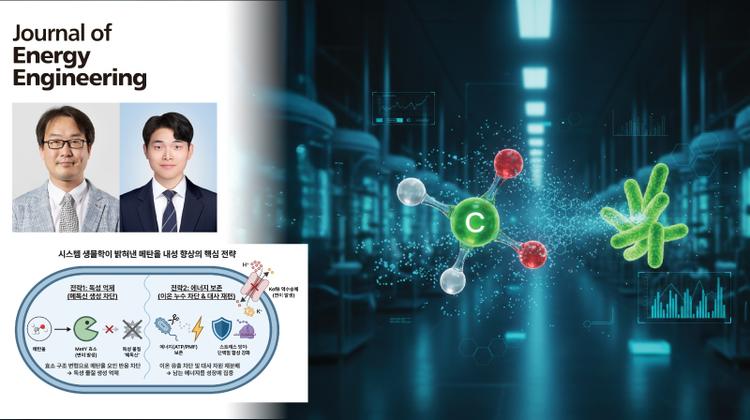 메탄올 내성 슈퍼 균주 개발..“바이오 리파이너리 원천 기술”
