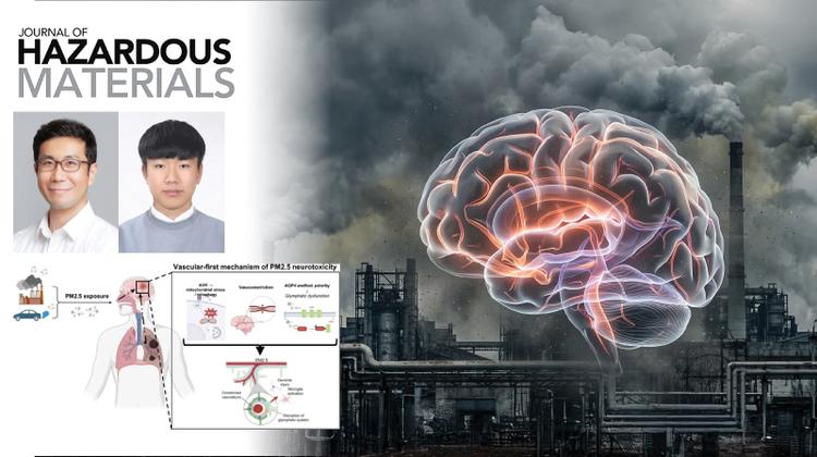 초미세먼지 뇌혈관 기능 약화 경로 밝혀 뇌 건강 연관성 제시