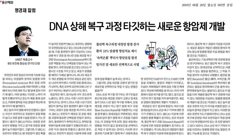 DNA 상해 복구 과정 타깃하는 새로운 항암제 개발