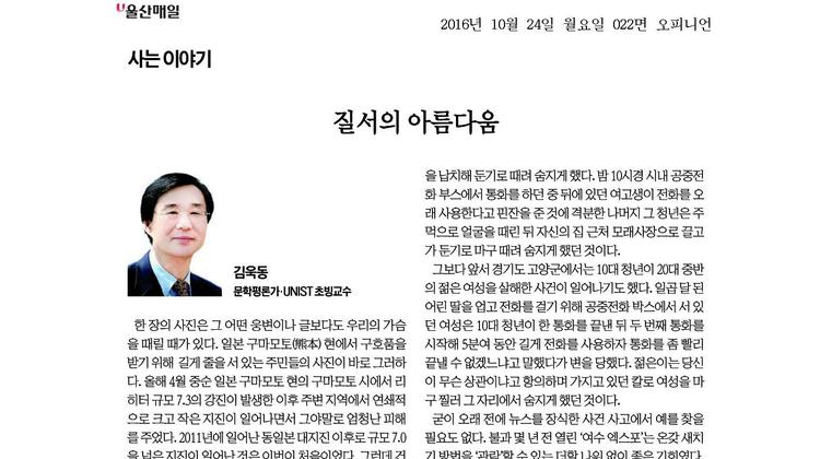 질서의 아름다움