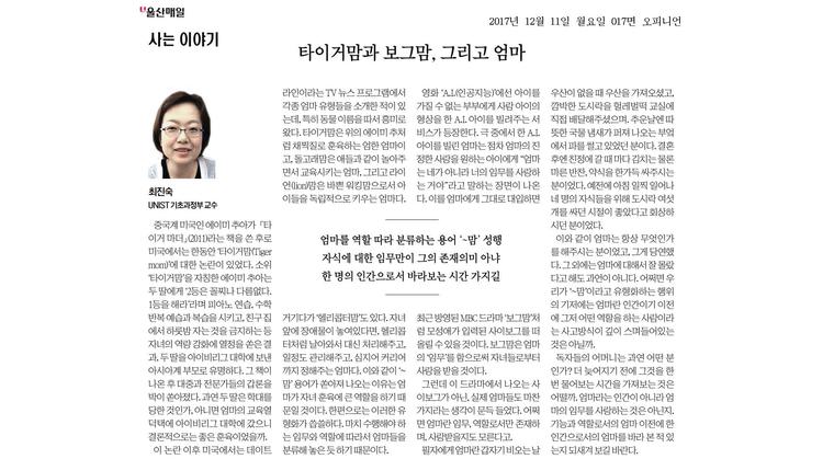 타이거맘과 보그맘, 그리고 엄마