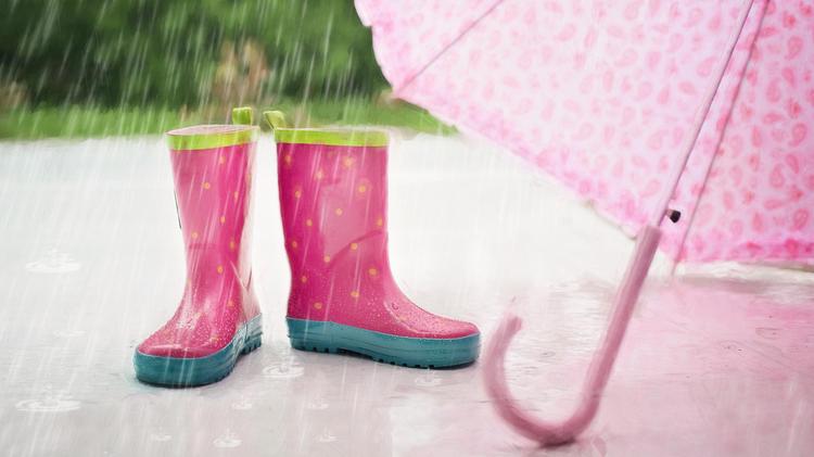 [이명인의 기후와 환경(6)]장마는 전지구적인 대기순환의 결과