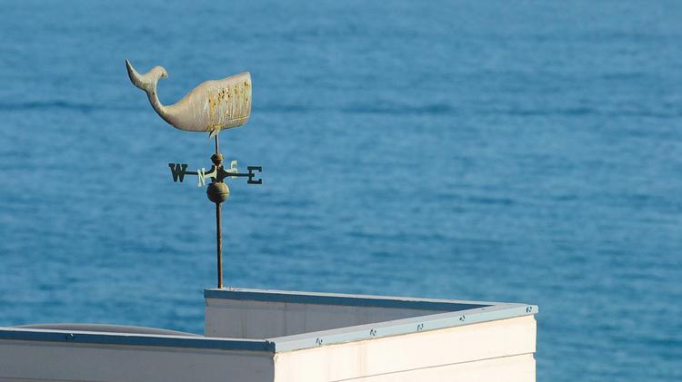 [이명인의 기후와 환경(11)]종종 빗나갈 수밖에 없는 계절예측