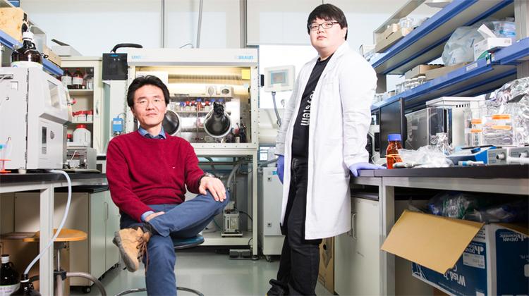 UNIST, Engineering Self-supporting 3D Porous Polymers