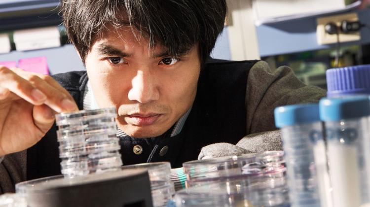 Researchers Sequence First Genome of an Ancient African