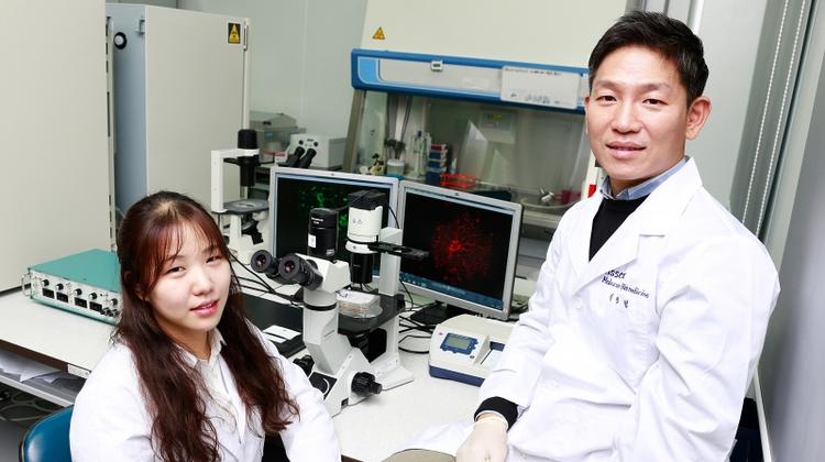 New Stem Cell Tech to Treat Spinal Cord Injuries