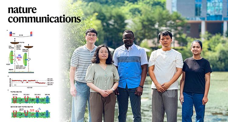 First-ever Visualization of Hidden Intermediate Steps in Cell Membrane Protein Pairing