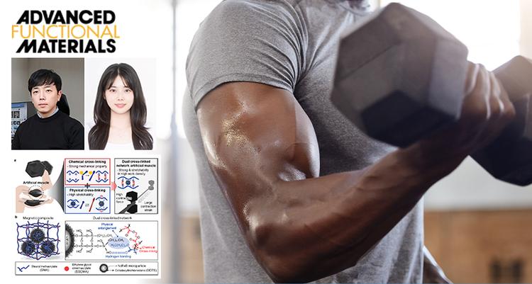 Revolutionary Artificial Muscle Can Switch from Soft to Rigid Like Steel, Offering Unprecedented Power and Flexibility