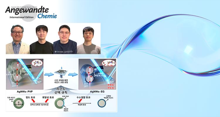 New Technology Enhances Electrical Conductivity and Durability of AgNW Transparent Electrodes