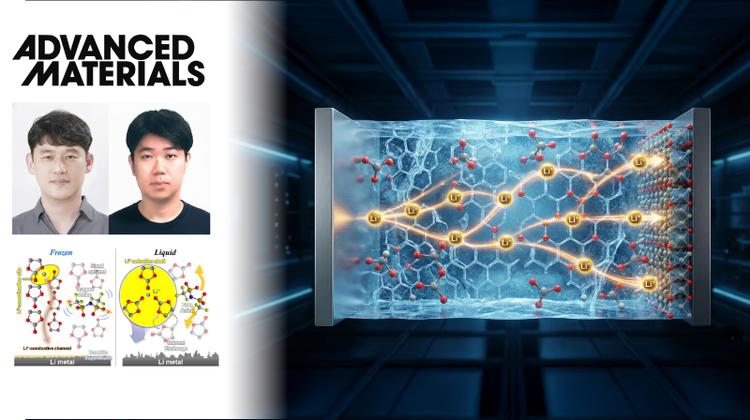Lithium-Ion Conduction in Frozen Organic Electrolytes for Advanced Battery Applications