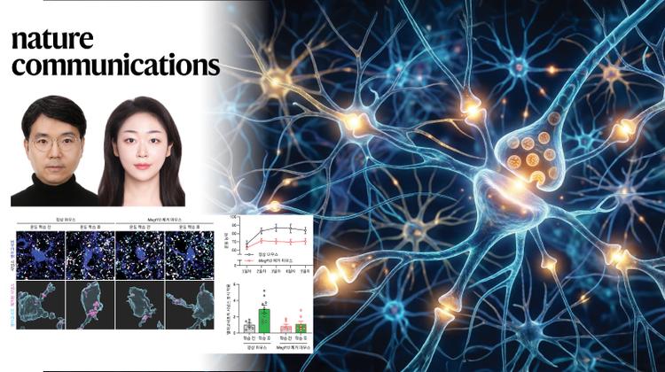 Dopamine Selects, Astrocytes Refine: A New Mechanism for Motor-learning Circuit Rewiring