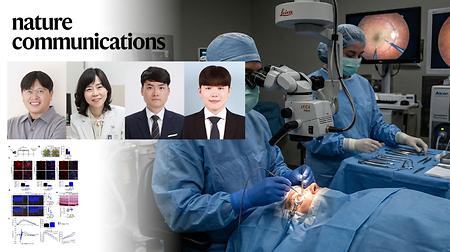 Targeted Nanoparticles Eliminate Aging Retinal Cells to Reverse Vision Decline